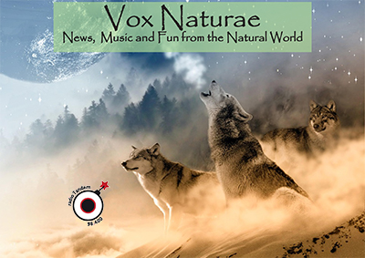 Vox Naturae del 22 maggio 2020