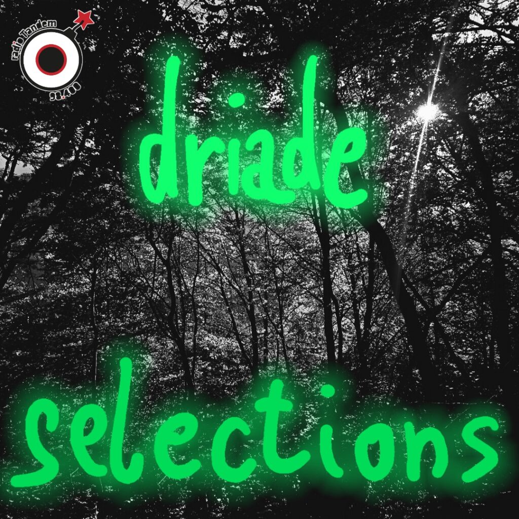 Driade Selections del 5 ottobre 2026